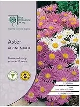 Mr Fothergill's Royal Horticultural Society Aster Alpine Mixed Seeds