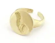 Bucket Aquarius Horoscope Bark Textured Band Round Adjustable Ring Raw 4866