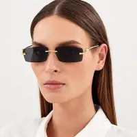 在飛比找蝦皮商城優惠-Cartier CT0430S 卡地亞品牌太陽眼鏡｜潮流復古