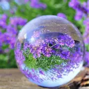 2x 1X 60mm Clear Crystal Sphere Ball without Base