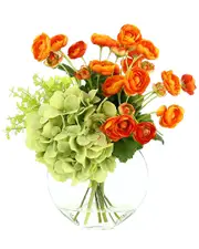 Creative Displays Orange Ranunculus, Hydrangea & Eucalyptus Arrangement in Glass Vase