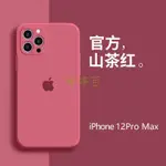 婷婷-IPHONE12 IPHONE 12 IPHONE IPHONE 殼 IPHONE 12MINI IPHONE1