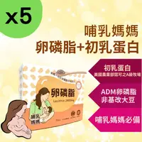 在飛比找PChome24h購物優惠-【5入組】大豆卵磷脂30包 100%大豆 無豆腥味 ADM卵