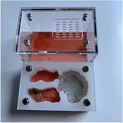 Ant Farm Acrylic Ant Farm Concrete Ant Nest Insect House Anthill Kit Observe Live Ants at Home Educational & Learning Science Kit for Kids