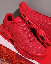 Size 10 - Nike Air Max Plus Lava Red