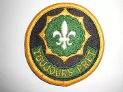 US ARMY 2ND ARMORED CAVALRY REGIMENT CLASS A PATCH - COLOR