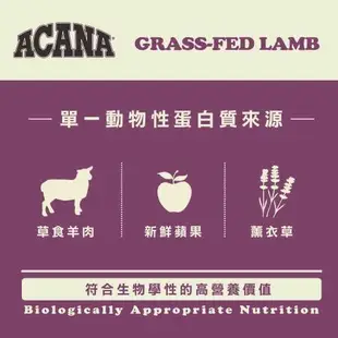 ACANA 單一蛋白低敏無穀配方-美膚羊肉+蘋果6kg