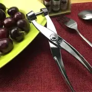 Zinc Alloy Cherry & Olive Pitter, Dishwasher Safe