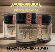 Manuka Honey MGO 2100+ AUSMANUKA™ 250g 3×PACK Very Rare Strength. Tested