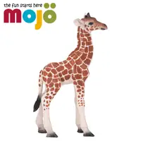 在飛比找蝦皮商城優惠-Mojo Fun動物模型-小長頸鹿 2021