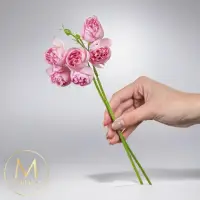 在飛比找momo購物網優惠-【Floral M】奧斯丁蜜桃粉牡丹仿真花花材（1入組）(人