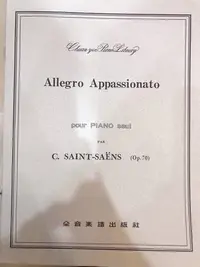 在飛比找Yahoo!奇摩拍賣優惠-三一樂器 Allegro Appassionato