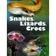 Snakes, Lizards, Crocs and Turtlesof Australia