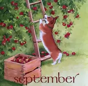 Corgi Apple Tree September Dog Days Poster Calendar 14 x 11" Art Leigh DWDDCal
