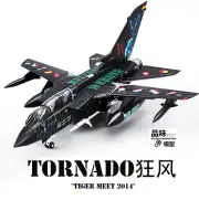 HM 1/72 Gale ECR German Air Force 51st Reconnaissance Regiment Tiger Club Model