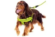 Green Adjustable Dog Harness Leash Set Mesh Pet Puppy Vest Lead For Medium Large Dog