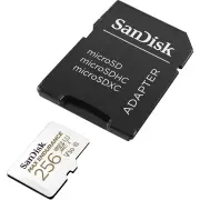 SanDisk MAX ENDURANCE 256GB microSD R100 W40 Memory Card + Adapter