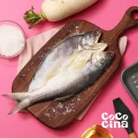 在飛比找momo購物網優惠-【Cococina】薄鹽熟成午仔魚一夜干(150g/尾*6尾