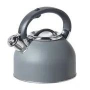 Tea Kettle for Stove Top - 64oz / 1.9lt, Stainless Steel Kettle with Loud Whistl