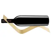 (Gold)Unique S Shaped Wine Storage Rack Concise Style Wine Shelf Stand For US