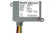 RIB24P30 Johnson Controls Relays Rib 30Amp Dpdt 24 Vacdc