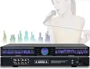 22-Band Digital Equalizer – Dual-Channel Graphic EQ with 10 Preset Effects, Low/Mid/Treble Adjustment, Automatic Noise Reduction, 1U Rack Mount for Recording Studio