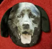 Adorable Plush Lined Black Labrador Retriever Dog Coin / Change Purse w/ Zipper