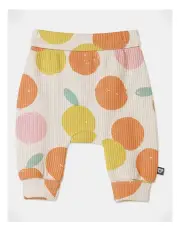 [Jack & Milly] Sunny Peachy Legging in Oatmeal