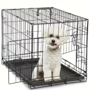 Double Door Foldable Metal Small Dog Crate With Handle And Floor