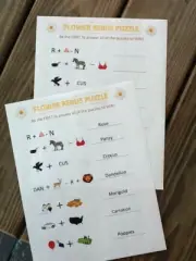 20 Sheets Rebus Puzzle Game & Answer Sheet - Great for Parties and Showers