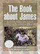 The Book About James ─ The Fourth Book in Betty Collier Living Inside the Testimony Book Series