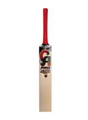 CA Pro 15000 Performance Edition Cricket Bat