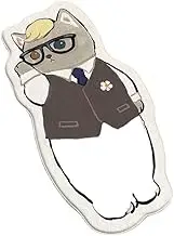 Kids Rugs with Cute Kitten Shaped Carpet for Girls Bedroom, Soft Shaggy Plush Girls' Carpet Mat with Cartoon Cat Look (Mr Cat,24''x64'')