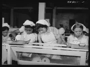 Pineapple Canning Factory,Bayamon,Puerto Rico,Farm Security Administration,1 1