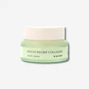 Phyto Plump Collagen Night Cream
