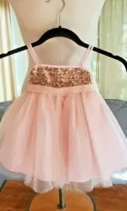 NWT - LAUREN ALEXANDRA - Girls sparkly dress - rose w. tull - Size 6 months