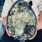 17.05LB TOP Natural Dragon Septarian geode Quartz Crystal mineral Specimen