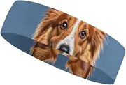 [FHESDCW] Cute Collie Dog Headbands for Women & Men Sports Headband, Fits All Head Sizes, Ultra Absorbent & Non-Slip Sweatband for Running, Yoga, Gym