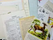 100+ Unique Vintage Papers For Junk Journaling Mixed Media Crafts Variety Bundle