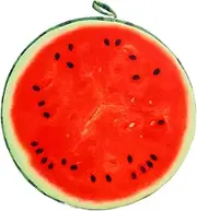 Floor Cushion for Kids, 13'' Round Watermelon Cushion Fruit Seat Pads Decorative Fruit Plush Cushion Machine Washable Seat Cushions Dining Chair Cushions Aesthetic Pillows for Home, Sofa, Bedroom