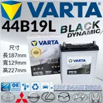 華達VARTA 44B19L 12V34AH 360A汽車 電瓶 免加水 銀合金 黑色動力 VARTA 42B20L