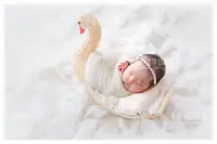 在飛比找樂天市場購物網優惠-新款兒童攝影道具 兒童拍照白天寶寶道具嬰兒筐 寶寶筐天鵝框