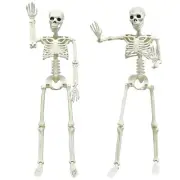 2PACK Plastic Posable Halloween Skeleton Decorations, 3FT Poseable Skeleton F