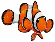 Clown Fish Ceramic Swimming Pool Mosaic Tile (6" X 8", Right)