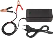 14.6V 5A LiFePO4 Battery Charger, Smart Charger for 12.8V Lithium Iron Phosphate Batteries Crocodile Clamps LED Indicator Specifically for Boot Lithium LiFePO4 Deep Cycle Batteries, WoMo Solor