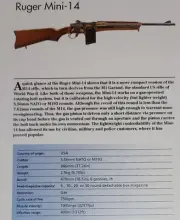 Ruger Mini 14 Rifle Gun Picture Out of Print Spec Sheet Display Wall Art