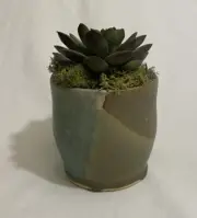 Artificial Potted Plant-Small Succulent NEW