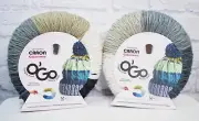2 Skeins Caron Colorama Yarn (Salt and Pep) - New!