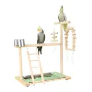 Bird Cage Playing Stand Toy with Ladder Chew Toy Parrots Perch Playstand