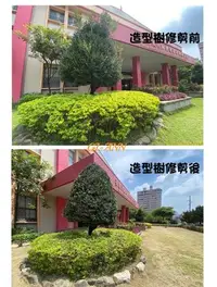 在飛比找Yahoo!奇摩拍賣優惠-**桔安GI-ANN**園藝服務-樹木修剪維護、(住家庭院、